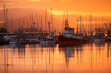 digital purchase test