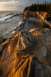 Oregon Coast smart