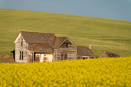 Kook essay palouse with captions