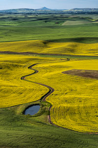 Palouse from the air