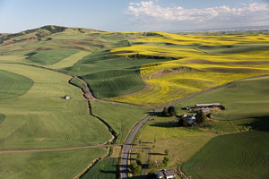 Palouse from the air Palouse from the air
