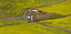 small thumbs test small thumbs test