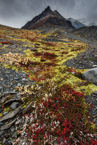 Barbee_181003_0042-Edit