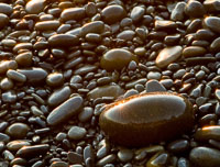 multiple client access