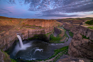 Pangolin to Kook test two