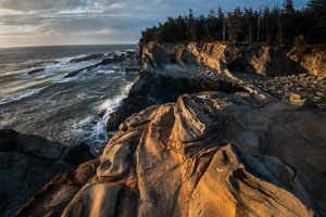 pangolin to kook tests