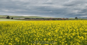 bl publisher album 1